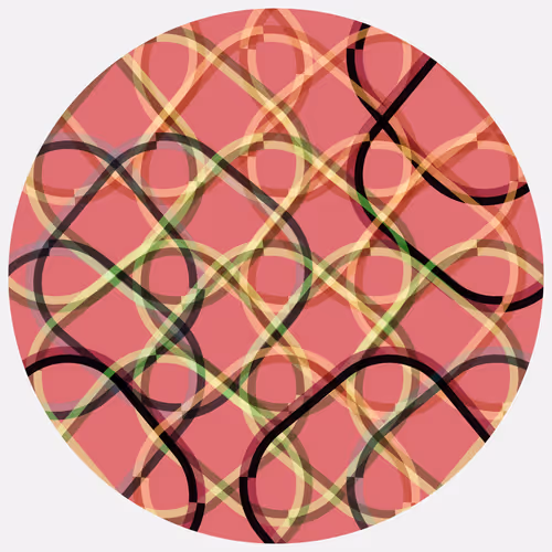 Ouroboros #767