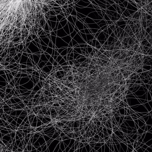 Phototaxis #832
