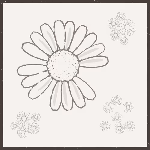 Daisies By Natthakit Susanthitanon Nsmag
