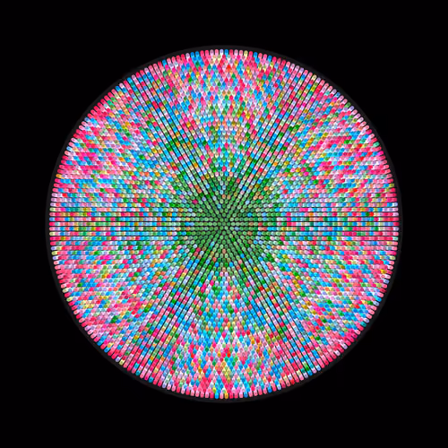 Transitions #1508