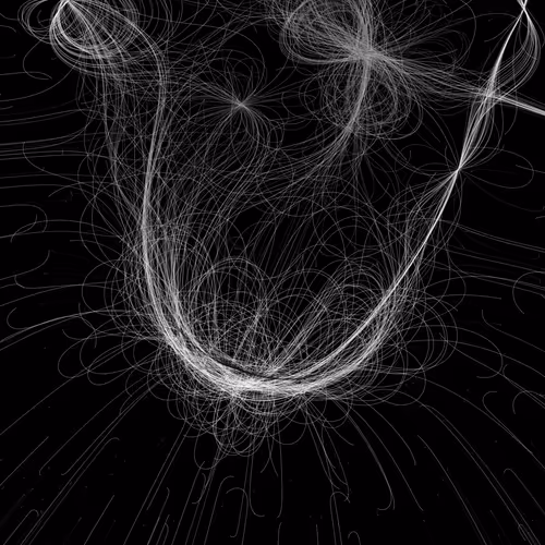 Phototaxis #964