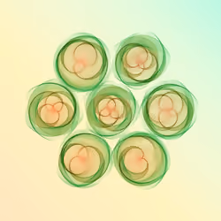 Flowers #3537
