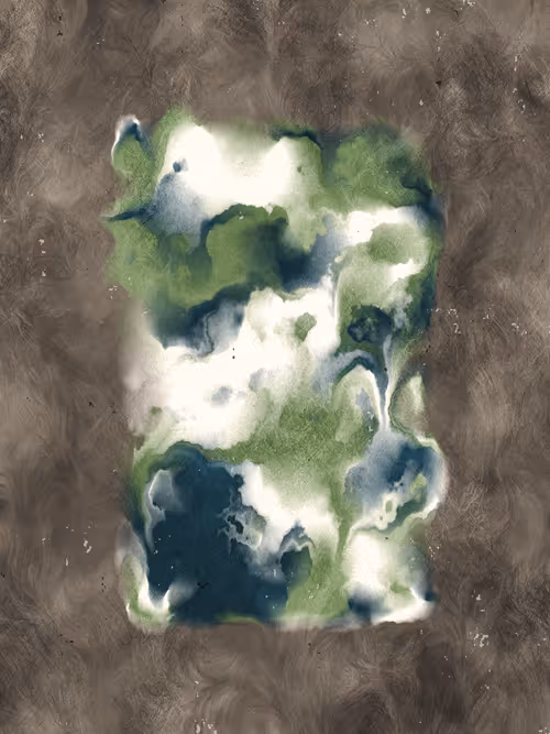 Item #366000056 Media