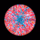 117002057