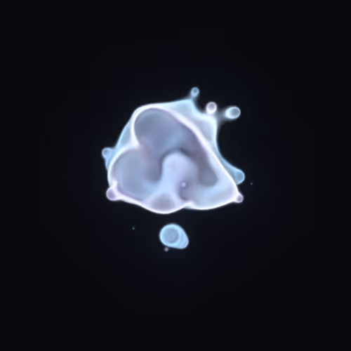 Item #62000388 Media