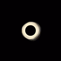 Singularity #630