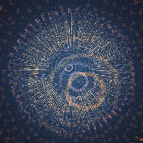 Item #250000351 Media