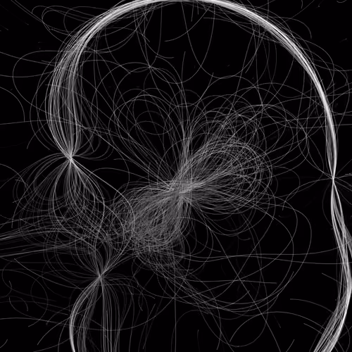 Phototaxis #469