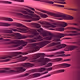 271000110