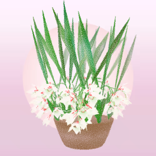 Item #308000156 Media