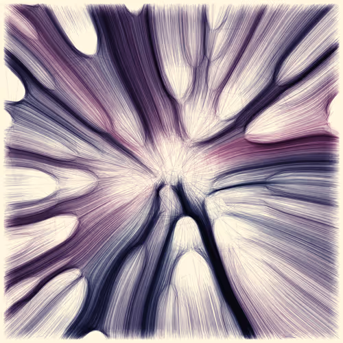 Item #96000005 Media