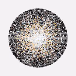 Transitions #2903