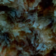129000141
