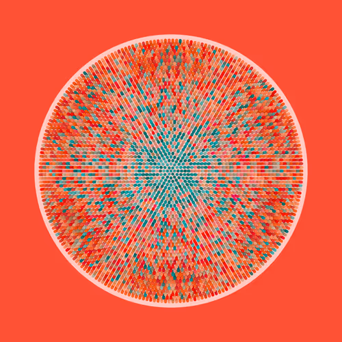 Transitions #2654
