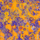 Fragments of an Infinite Field #212