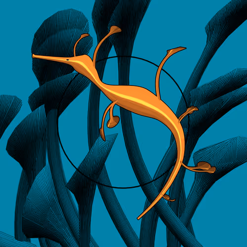Seadragons By Marcin Ignac