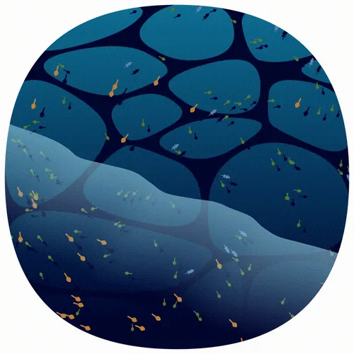 Item #107000177 Media