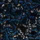 270000066