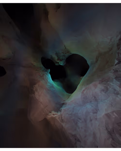 Item #217000270 Media