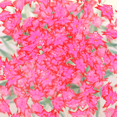 Item #308000127 Media