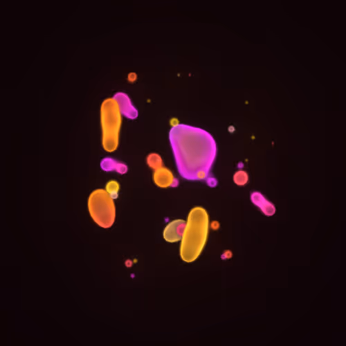 Item #62000262 Media