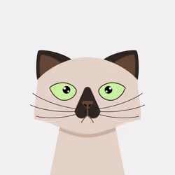 CatBlocks #58