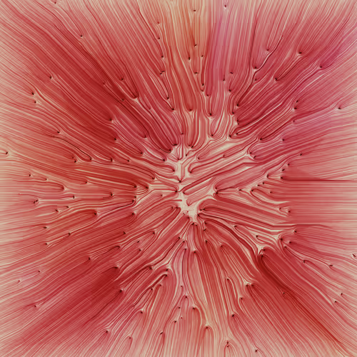 Item #271000252 Media