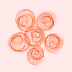 Flowers #5056