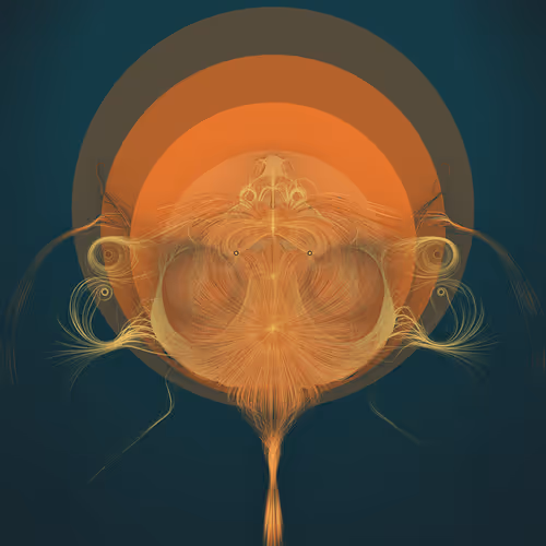 Item #329000351 Media