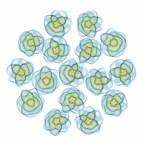 Flowers #5750