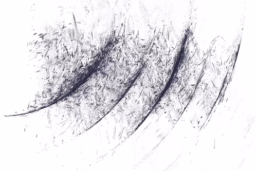 Item #229000249 Media