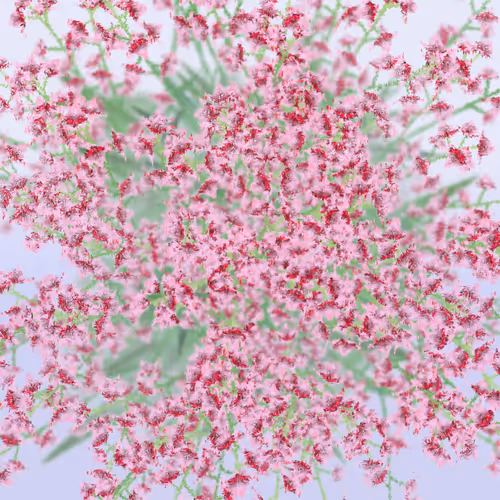 Item #308000004 Media