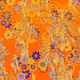 Fragments of an Infinite Field #311