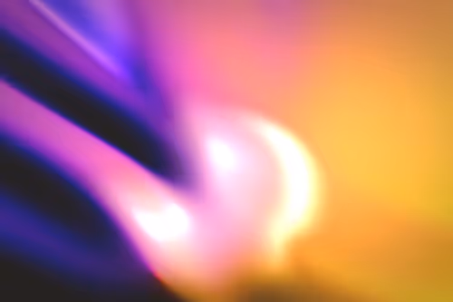 Item #296000301 Media