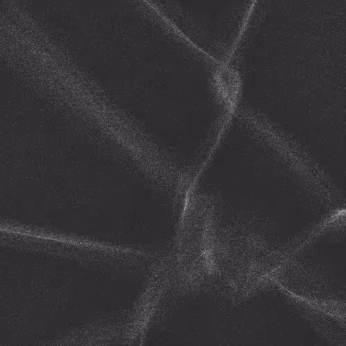 Item #320000468 Media