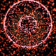 250000144