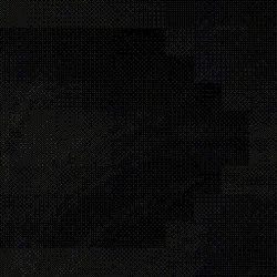 phase #295