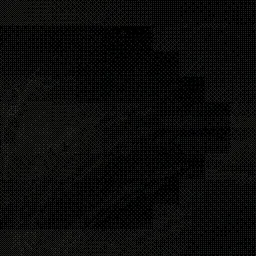 phase #295