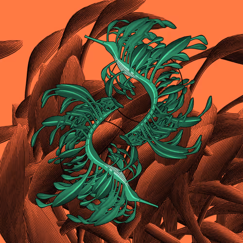 Item #160000073 Media