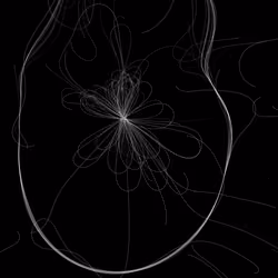 Phototaxis #151