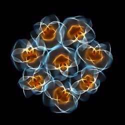 Flowers #3966