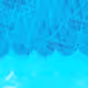 278000021