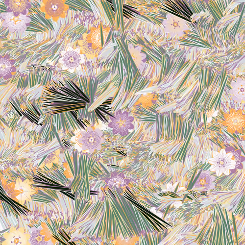 Fragments of an Infinite Field #960