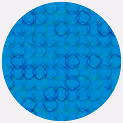 Ouroboros #140