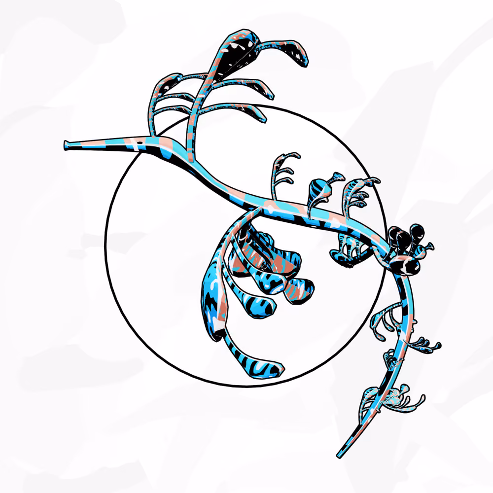 Seadragons #963