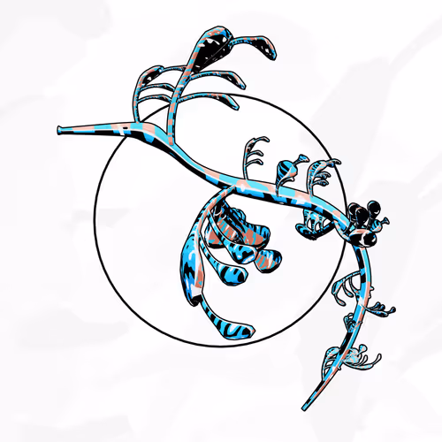 Seadragons #963