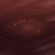 124000079