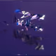 232000648