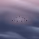 124000750