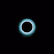 Singularity #384
